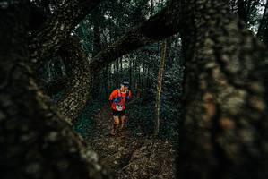 BIB: 
                            <button type="button" onclick="openModal(25676672)" class="btn btn-primary btn-sm float-right btn-popup" data-toggle="modal" data-target=".modal-high-quality">
                        <i class="fas fa-shopping-cart"></i> Add to Cart
                    </button>
                                            <button type="button" onclick="isThisMe(25676672, true)" class="btn btn-success btn-sm float-right btn-popup btn-isme hidden" data-toggle="tooltip" data-placement="bottom" title="นี่คือรูปของคุณใช่ไหม คลิกที่นี่เพื่อเอาเข้าอัลบั้ม">
                        <i class="fas fa-plus"></i> Add to album
                    </button>
                    <button type="button" onclick="isThisMe(25676672, false)" class="btn btn-warning btn-sm float-right btn-popup btn-isnotme hidden">
                        <i class="fas fa-ban"></i> Remove from album
                    </button>